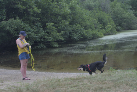 20250707_Dog Park__DSC0232_.jpg