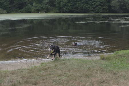 20250707_Dog Park__DSC0241_.jpg