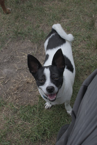 20250707_Dog Park__DSC0244_.jpg