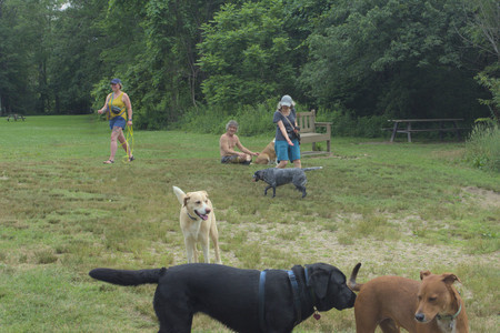 20250707_Dog Park__DSC0249_.jpg