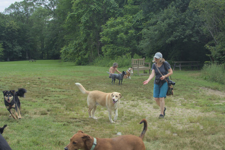 20250707_Dog Park__DSC0251_.jpg