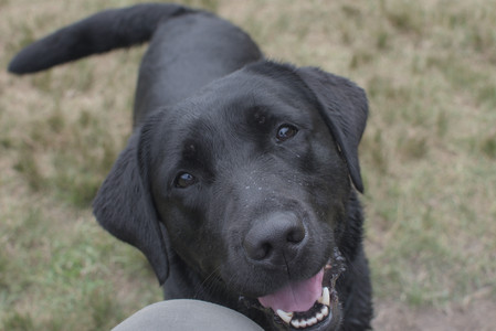 20250707_Dog Park__DSC0258_.jpg