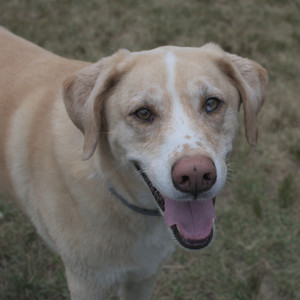 20250707_Dog Park__DSC0265_.jpg