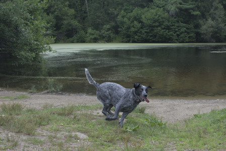 20250707_Dog Park__DSC0284_.jpg