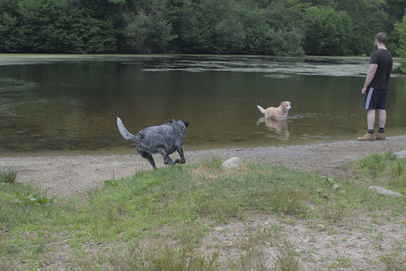 20250707_Dog Park__DSC0287_.jpg