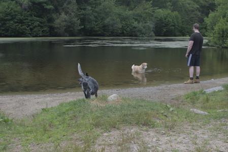 20250707_Dog Park__DSC0288_.jpg