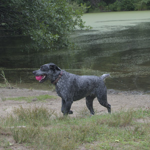 20250707_Dog Park__DSC0298_.jpg