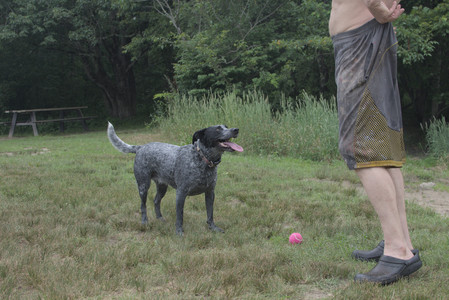 20250707_Dog Park__DSC0302_.jpg