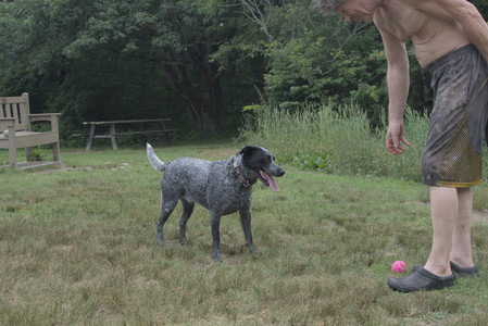 20250707_Dog Park__DSC0305_.jpg