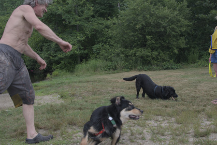 20250707_Dog Park__DSC0311_.jpg