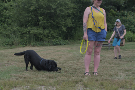 20250707_Dog Park__DSC0312_.jpg