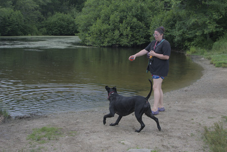 20250707_Dog Park__DSC0325_.jpg