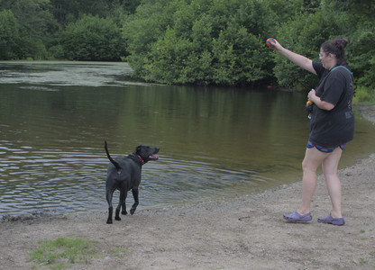 20250707_Dog Park__DSC0327_.jpg