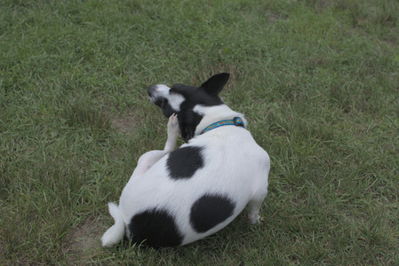 20250707_Dog Park__DSC0333_.jpg