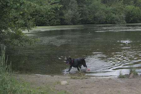 20250707_Dog Park__DSC0342_0.jpg