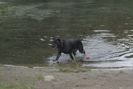 20250707_Dog Park__DSC0342_1.jpg