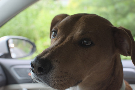 20250709_Imby at home and Dog park__DSC0030_.jpg