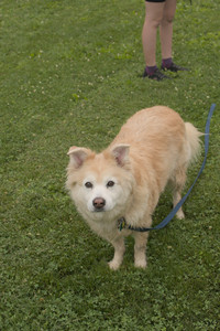 20250709_Imby at home and Dog park__DSC0115_.jpg