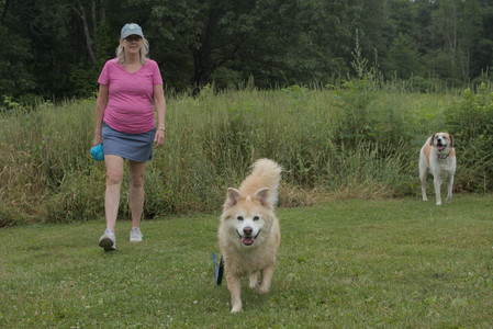 20250709_Imby at home and Dog park__DSC0120_.jpg