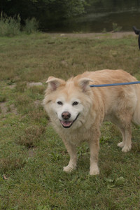 20250709_Imby at home and Dog park__DSC0135_.jpg