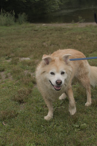 20250709_Imby at home and Dog park__DSC0136_.jpg