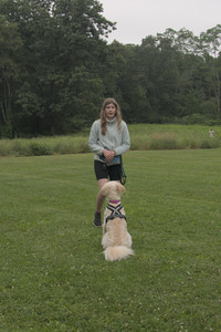 20250709_Imby at home and Dog park__DSC0168_.jpg