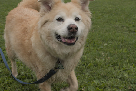 20250709_Imby at home and Dog park__DSC0174_.jpg