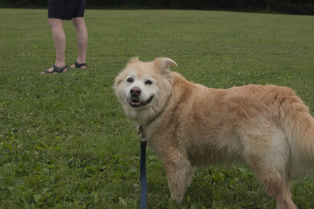 20250709_Imby at home and Dog park__DSC0178_.jpg