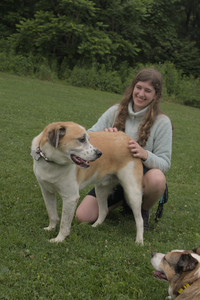 20250709_Imby at home and Dog park__DSC0195_.jpg