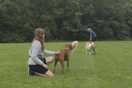 20250709_Imby at home and Dog park__DSC0208_.jpg