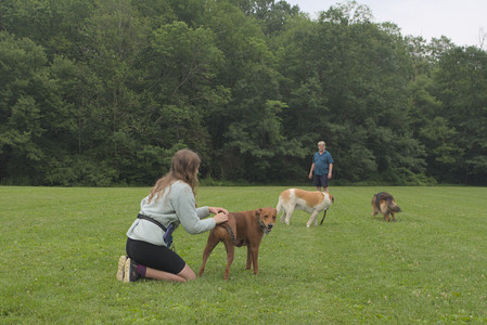 20250709_Imby at home and Dog park__DSC0218_.jpg