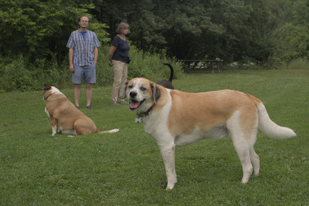 20250709_Imby at home and Dog park__DSC0273_.jpg