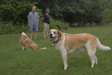 20250709_Imby at home and Dog park__DSC0274_.jpg