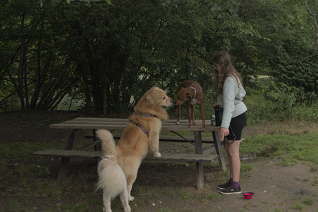 20250709_Imby at home and Dog park__DSC0277_.jpg