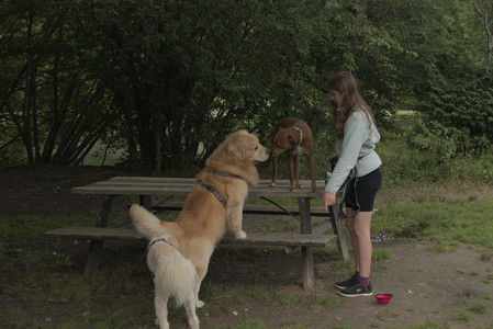 20250709_Imby at home and Dog park__DSC0278_.jpg