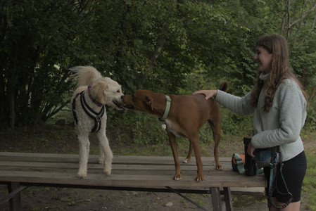 20250709_Imby at home and Dog park__DSC0288_.jpg