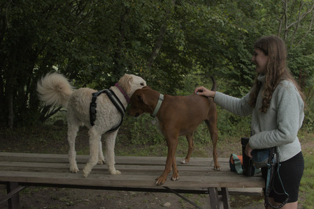 20250709_Imby at home and Dog park__DSC0290_.jpg