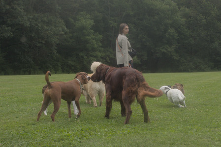 20250709_Imby at home and Dog park__DSC0325_.jpg