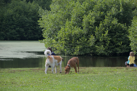 20250711_Dog park__DSC0079_.jpg