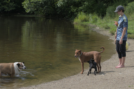 20250711_Dog park__DSC0102_.jpg