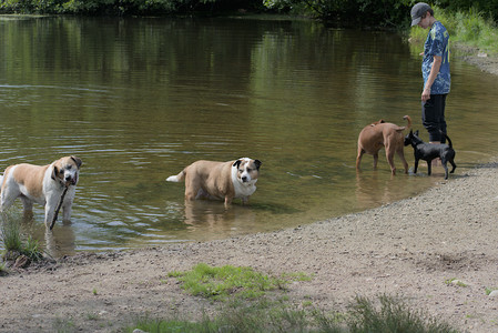 20250711_Dog park__DSC0110_.jpg