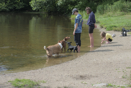20250711_Dog park__DSC0115_.jpg