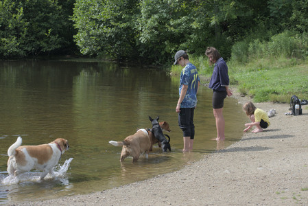 20250711_Dog park__DSC0117_.jpg
