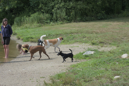 20250711_Dog park__DSC0128_.jpg