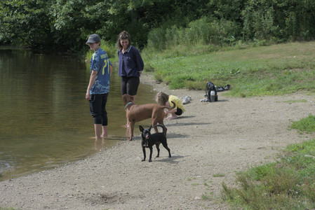 20250711_Dog park__DSC0133_.jpg