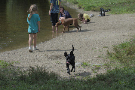 20250711_Dog park__DSC0143_.jpg