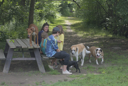 20250711_Dog park__DSC0195_.jpg