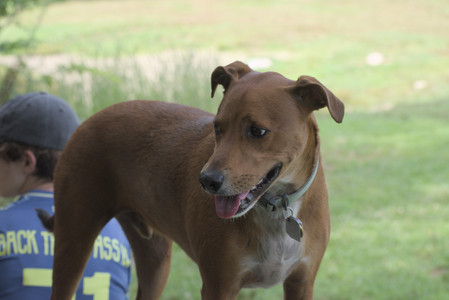 20250711_Dog park__DSC0196_.jpg