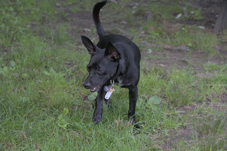 20250711_Dog park__DSC0243_.jpg