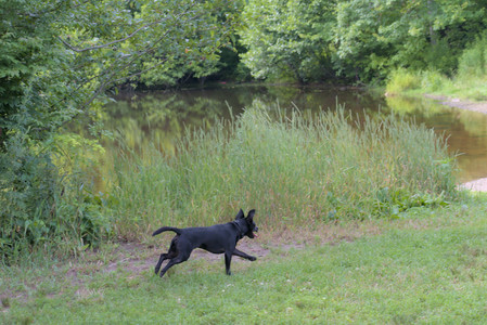 20250711_Dog park__DSC0330_.jpg
